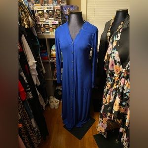 Rebdolls Devoted A-line dress in electric blue, 2X.